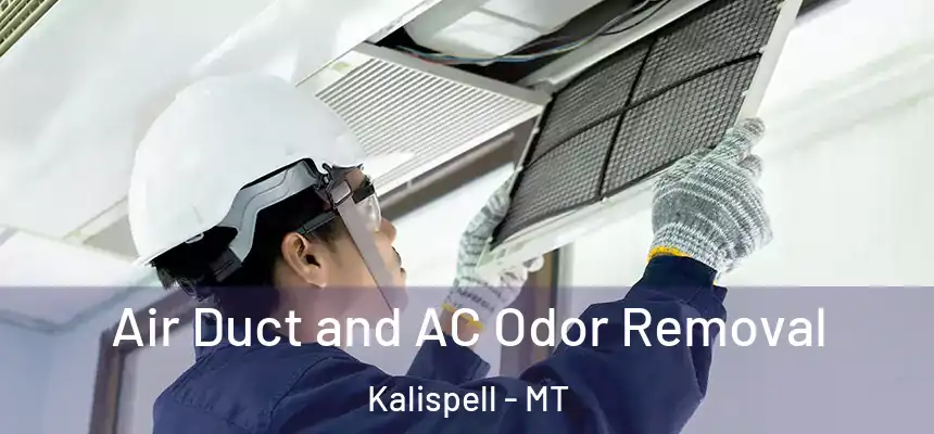  Air Duct and AC Odor Removal Kalispell - MT