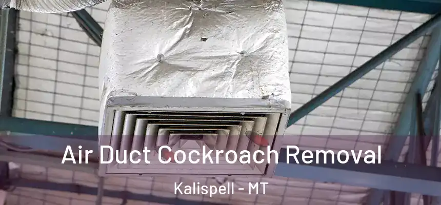 Air Duct Cockroach Removal Kalispell - MT