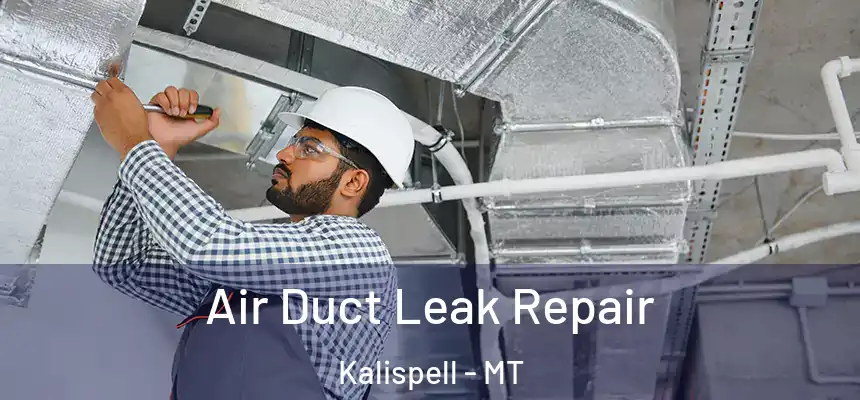  Air Duct Leak Repair Kalispell - MT