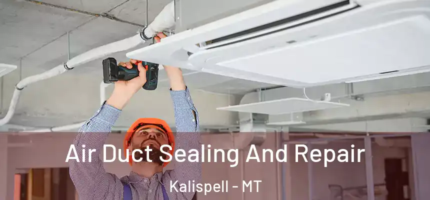  Air Duct Sealing And Repair Kalispell - MT