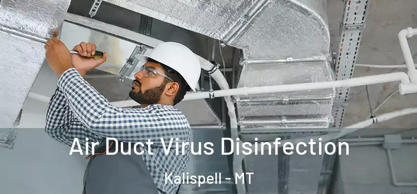 Air Duct Virus Disinfection Kalispell - MT