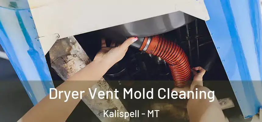 Dryer Vent Mold Cleaning Kalispell - MT
