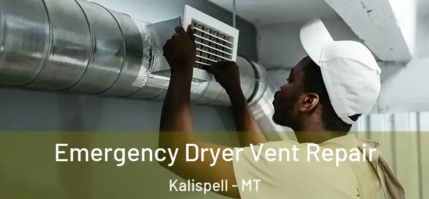  Emergency Dryer Vent Repair Kalispell - MT