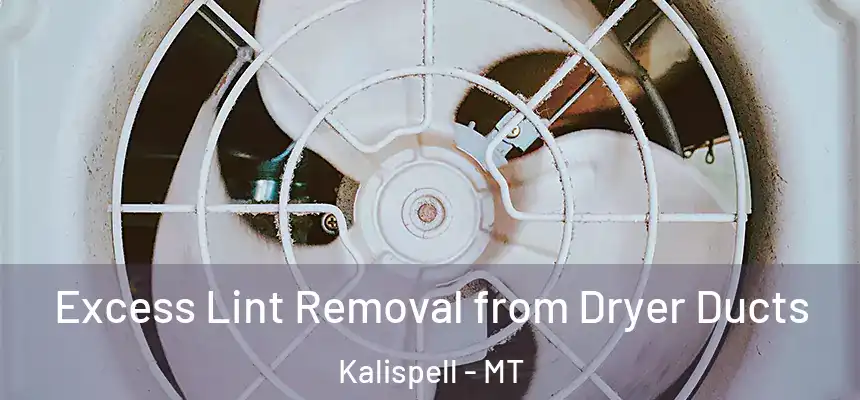  Excess Lint Removal from Dryer Ducts Kalispell - MT