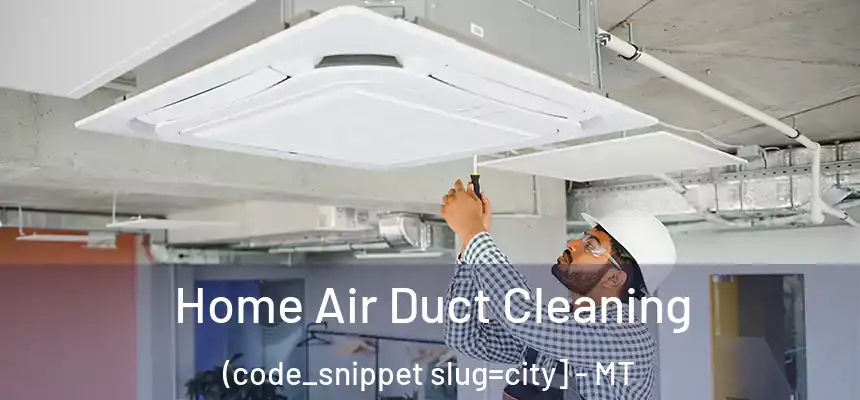  Home Air Duct Cleaning (code_snippet slug=city] - MT