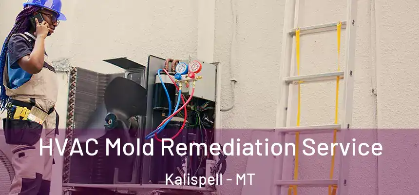  HVAC Mold Remediation Service Kalispell - MT