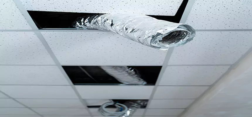 Our Air Duct Pet Hair Removal Services in Kalispell, MT