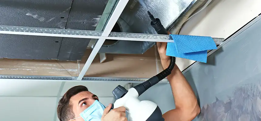 Our Air Duct Rodent Removal Services in Kalispell, MT