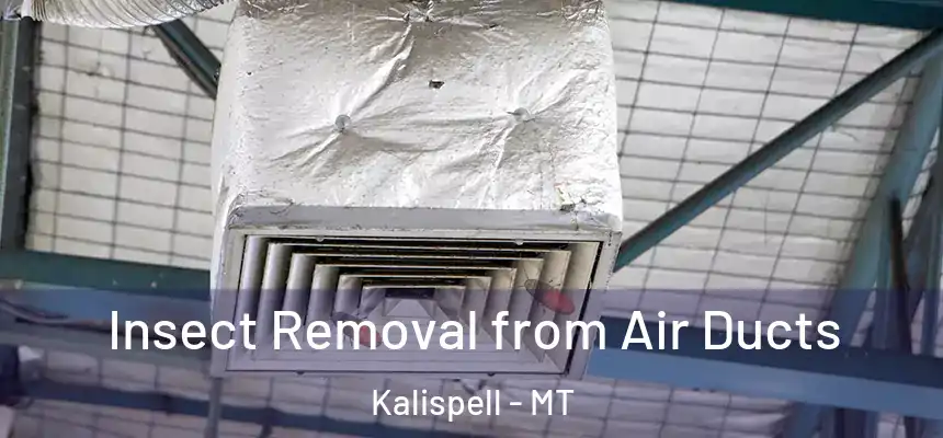  Insect Removal from Air Ducts Kalispell - MT