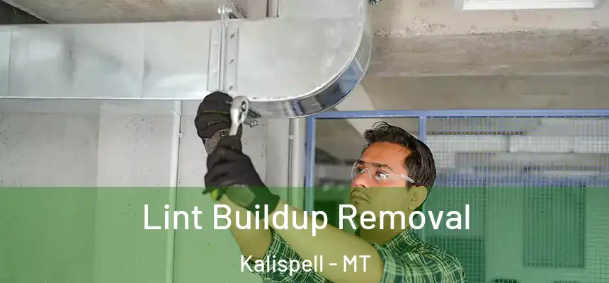  Lint Buildup Removal Kalispell - MT