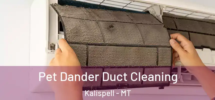 Pet Dander Duct Cleaning Kalispell - MT