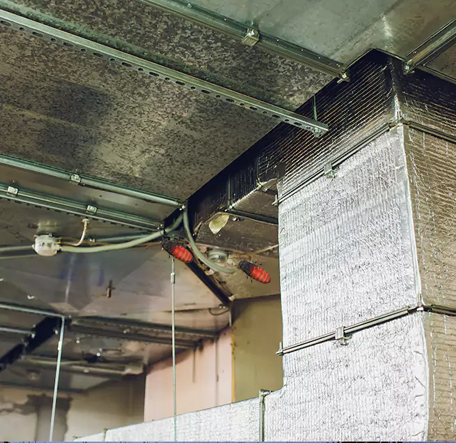 Why Homeowners & Businesses Trust Us in Kalispell, MT?