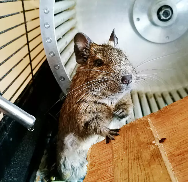 Why Homeowners & Businesses Trust Us Kalispell, MT