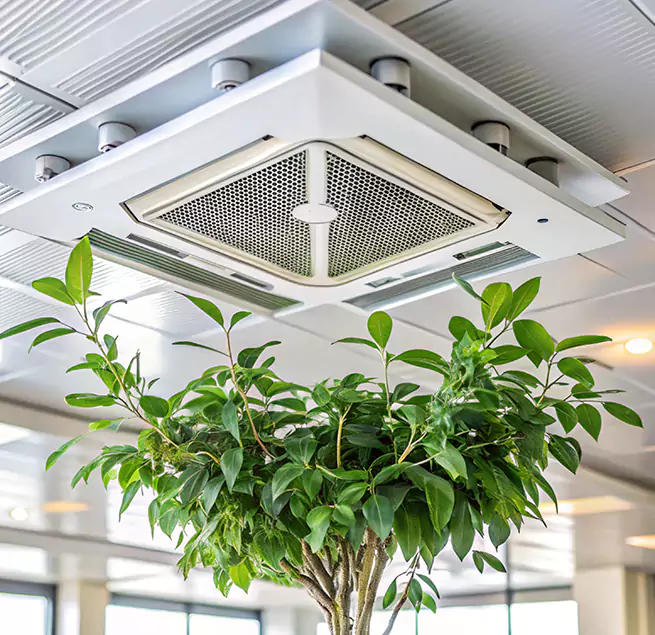 Why Homeowners & Businesses Trust Us in Kalispell, MT?