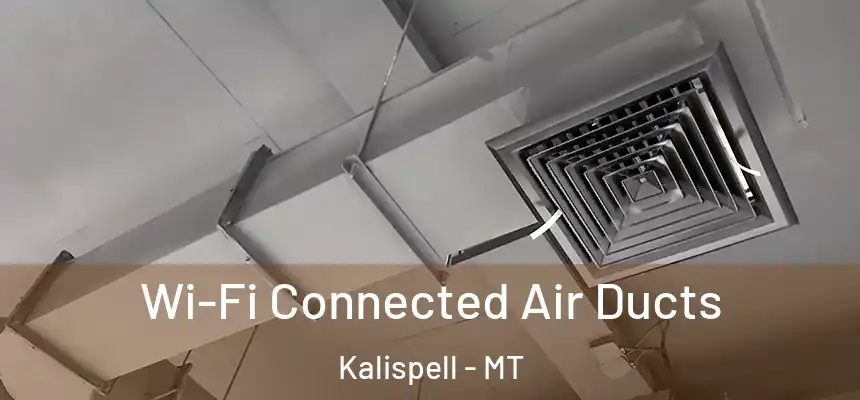  Wi-Fi Connected Air Ducts Kalispell - MT